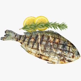 Grilled Fish 3D model